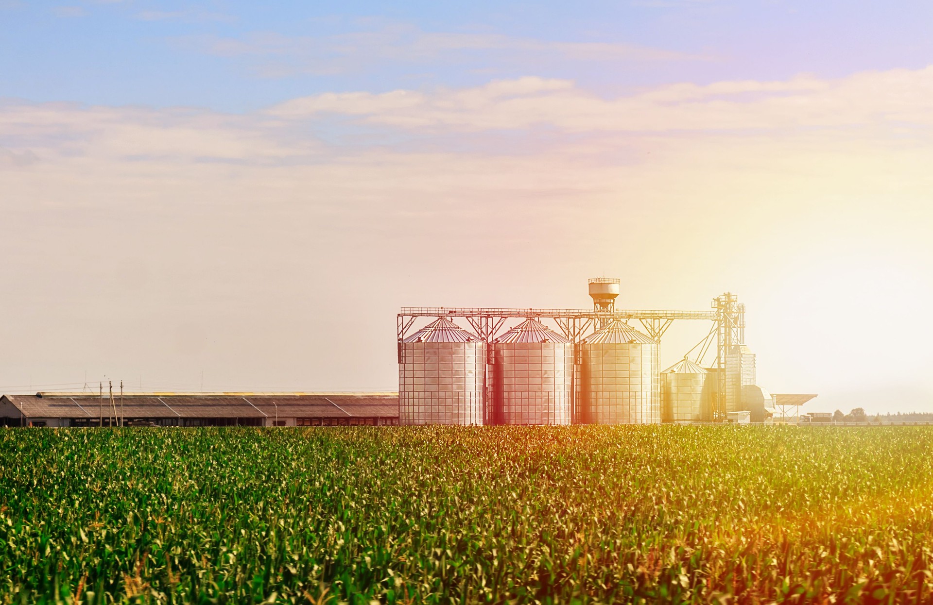 Projeto de data science da inQuesti para empresa de alimentos